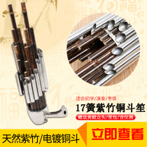 Yuefu Shisheng musical instrument 17 spring beginner d-tone student Round Sheng entry pappered copper bucket Sheng Adult performance professional