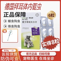 Baidaroing dog in the body for insect repaints Baier dog Germany Baier pooch pythons pythons deinsectites and worms and tapeworm.