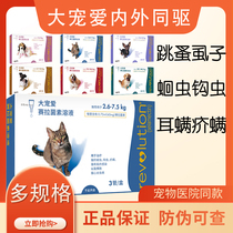 Large Favorites Cat Body Inside And Outside Insect Repellent Kitty Body Integrated Insect Repellent External Skin Drop Two-in-one Insect Repellent