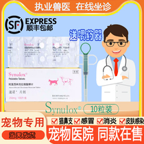 Masters Tempo Steno Pet Dog Cat Cold Enteritis Lathin Oral Inflammatory Stenositis 250mg-10 grains