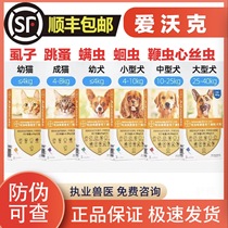 Bayer Love Walkers outside insect repellent cat pooch with inside and outside deworming roundworm flea lice body outside the body