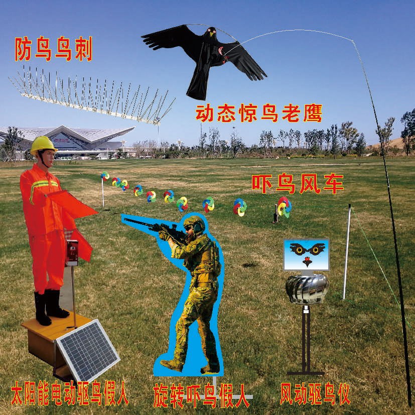 New bird repelling bird scaring bird orchard farmland airport pond house dynamic eagle kite bird repelling artifact