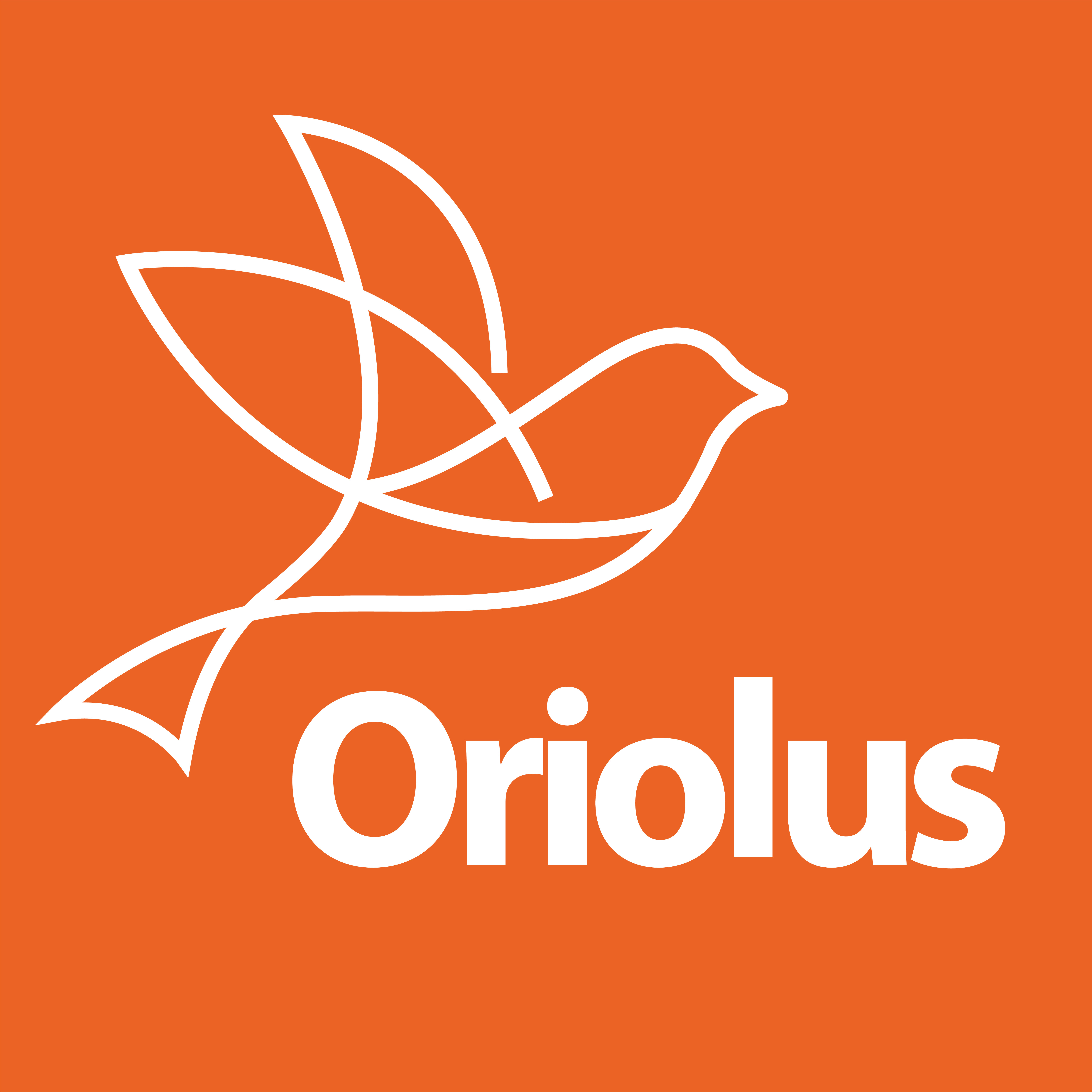 Oriolus