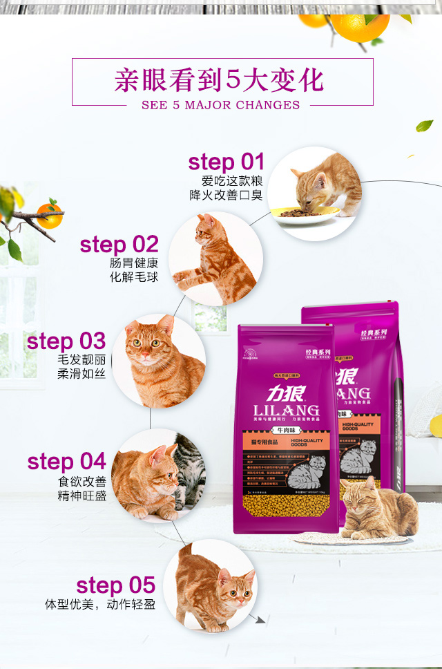 Sức mạnh của mèo sói thức ăn 10kg thịt bò thành mèo con mèo con mèo lông bóng sẽ có mùi ngắn Anh hạt ngắn tự nhiên 20 kg - Cat Staples thức ăn cho mèo con 1 tháng tuổi