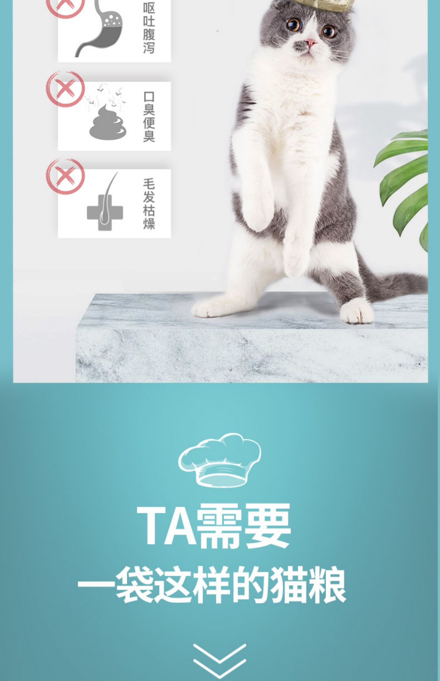 Sói mèo thức ăn mèo con 1,5kg Anh đẹp ngắn ngắn Xiêm gấp tai lông bóng cá mèo nói chung loại 3 kg - Cat Staples hạt cho mèo con 2 tháng tuổi