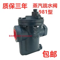 Dry cleaner drain valve PN16 Taiwan DSC inverted bucket trap 981 steam condensate automatic drain valve