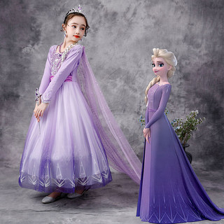 Autumn and Winter Frozen Elsa Princess Dress