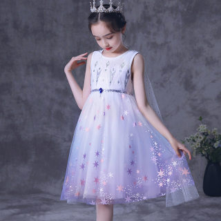 Frozen 2 elsa sleeveless princess dress