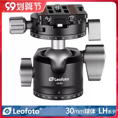 Lai Tao Leofoto LH-30R with RH-1L panoramic clamp double panoramic 30mm sphere spherical head