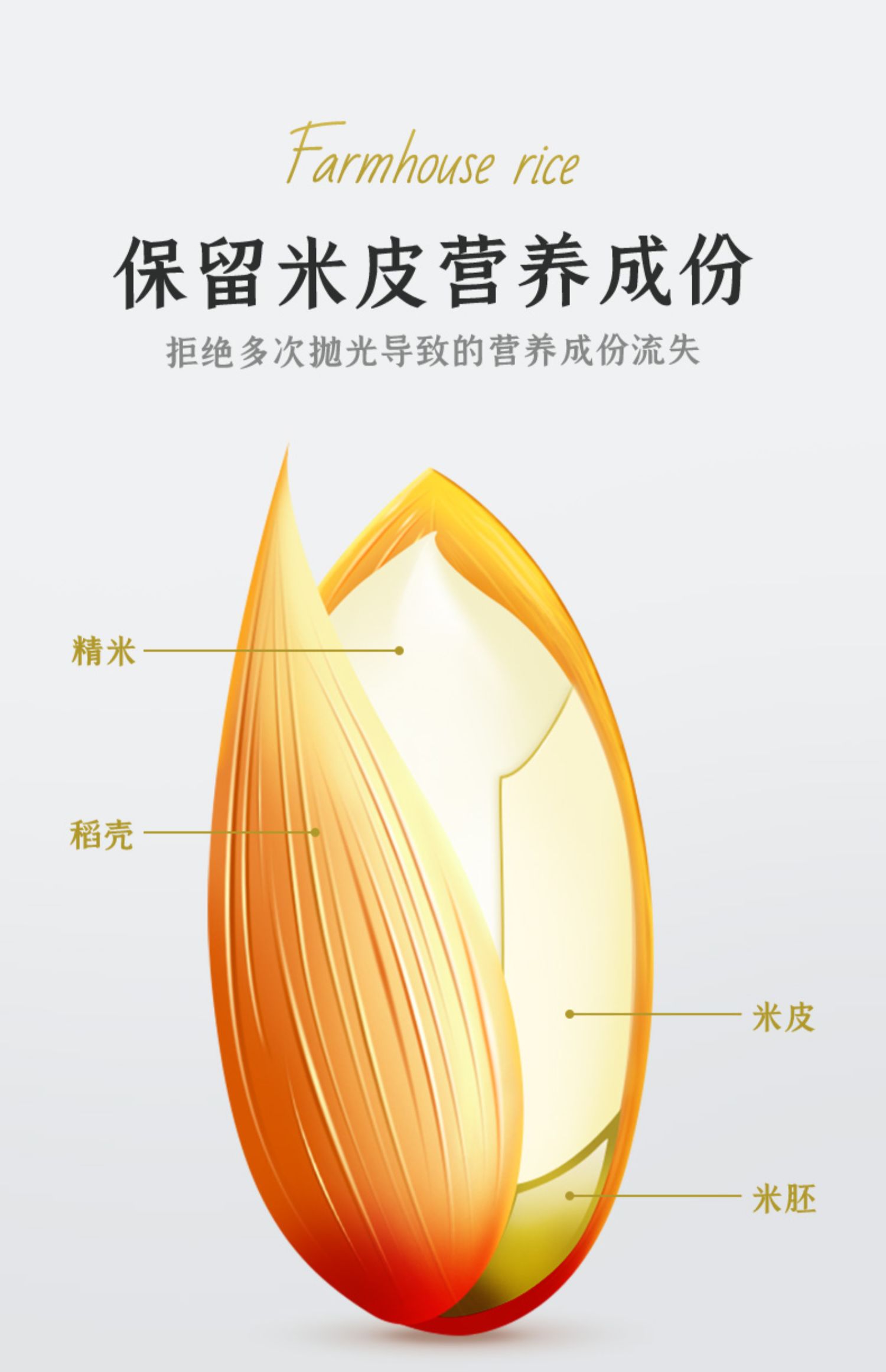 长粒大米5kg南方农家籼米10斤新米丝苗