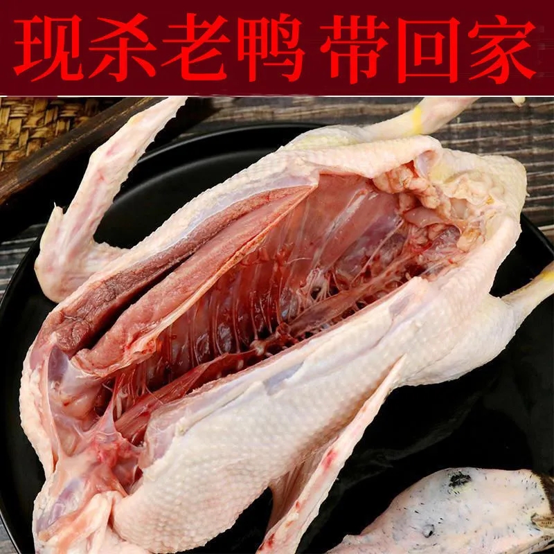 (5-year-old duck) farmer's scattered old-fashioned duck soil duck teal duck old hemp duck meat is now killed and frozen fresh