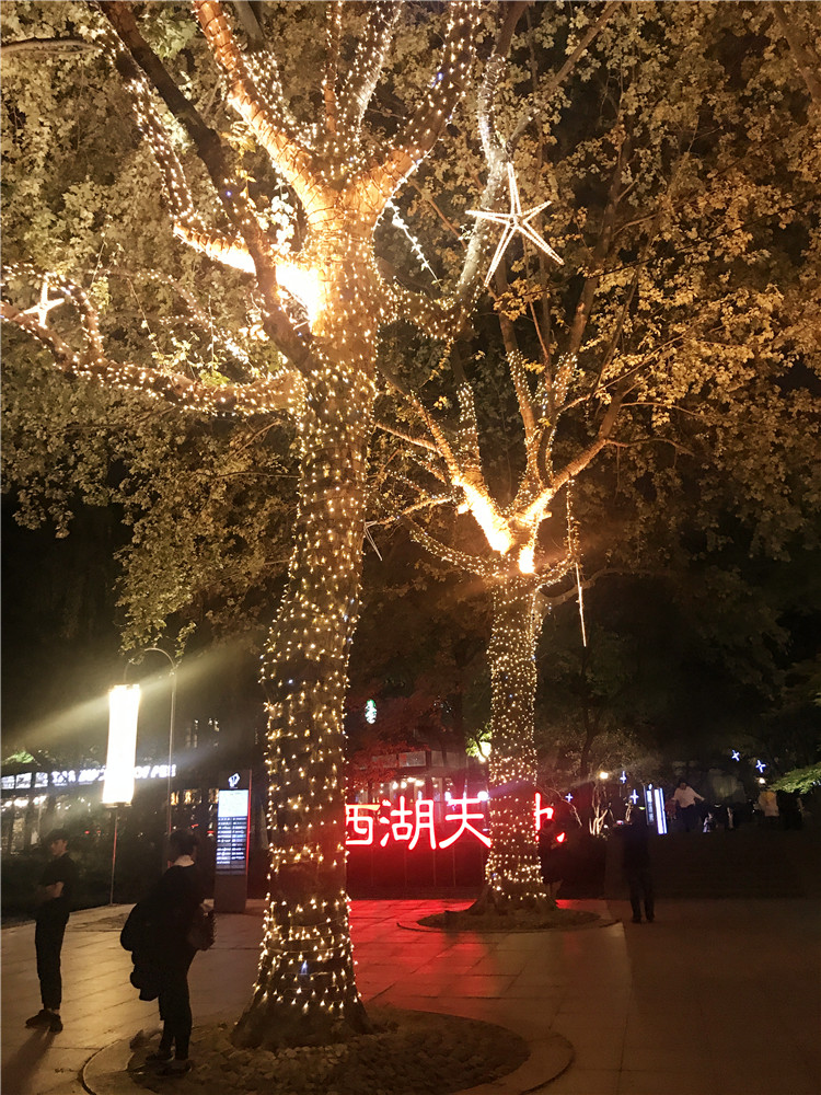 New Year LED small color lights Flash lights String lights starry sky lights Outdoor engineering waterproof net red room decoration