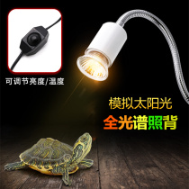 Turtle Sunback lamp rechargeable sun lamp sausage tortoise lighting Sun cylinder crocodile turtle calcium safety set timing