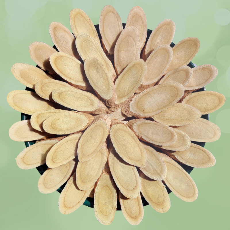 The production area is directly supplied to Gansu Astragagalus 500g gram of North Astragalus Chinese medicinal powder as party chamber tea