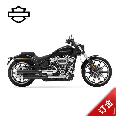 2021 BREAKOUTreg 114 Breakers Harley-Davidson Locomotive (New Car deposit)