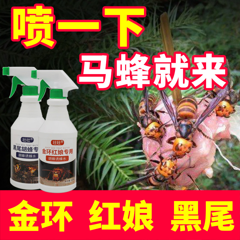 Bee trapping water hornet recruiting bee water golden ring red lady wasp trapping bee trapping bee special non-medicine