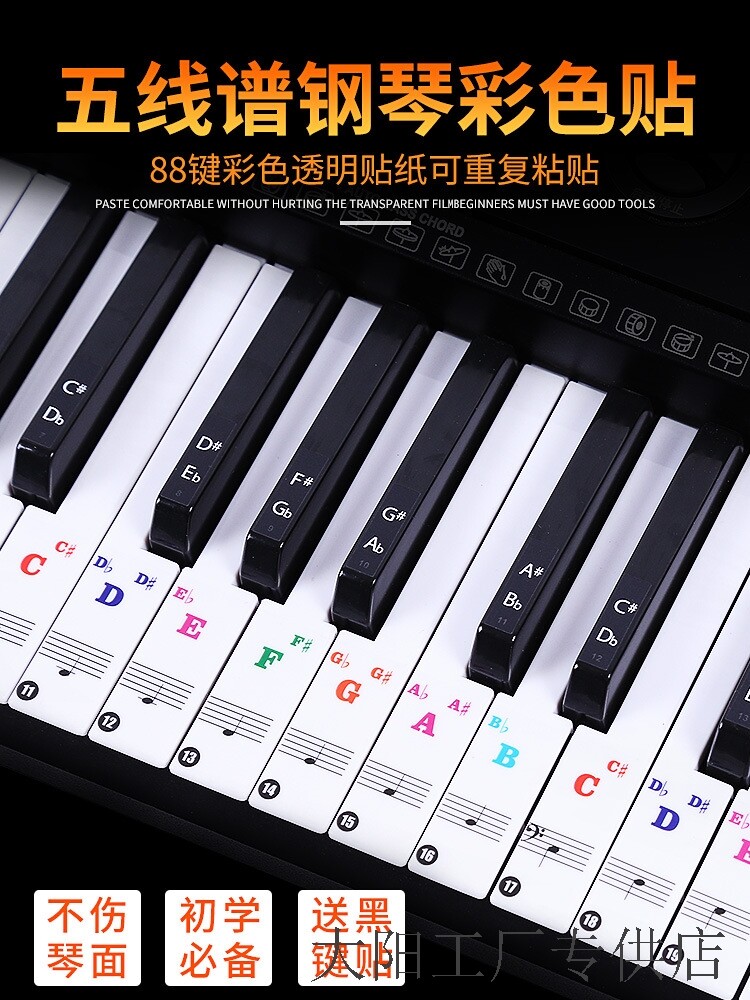 Electronic organ stickers 36 keys Colour Piano Alphabet Notes Stickers 88 61 Handrolled Piano Keyboard transparent Jane Spectral