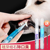 Pet dog calculus removal tool dog with removing buckle to pick dental stone tools to calculus artifact Special
