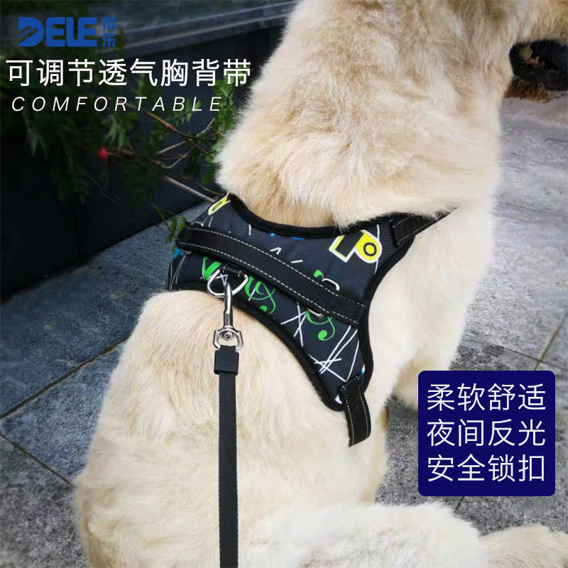 Dog breast-holding baby bag traction rope teddy Labrador gold wool small middle large canine collar walking dog Neck Walking Dog Rope
