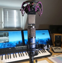 TELEFUNKEN RHYTHM WIND ROOT TF11 Heart type pointing to professional recording electronic tube capacitive microphone microphone