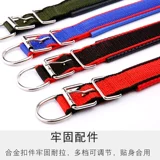 Сотрудничество для собак большая собака средняя маленькая маленькая собака золотисто -жарко