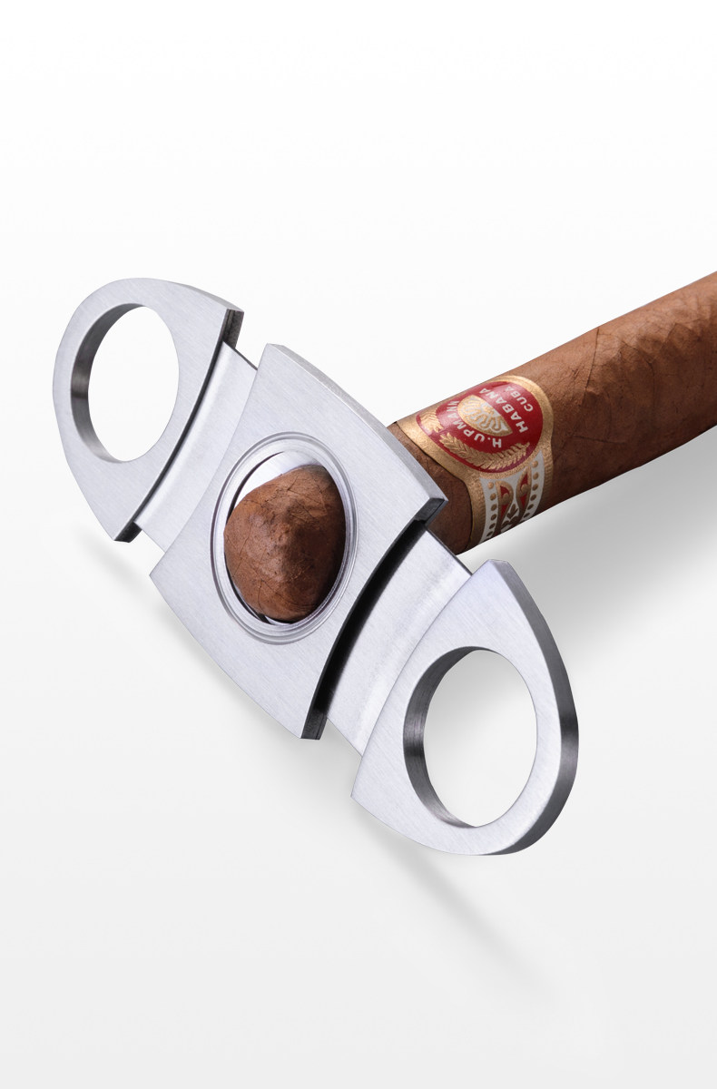 Сигурная резка легкая-эгиш дракон_14