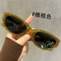 Оливковый цвет (обновленный поляризатор) — соберите и купите, чтобы получить футляр для линз и ткань для линз.