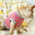 Quần áo chiến đấu pháp luật mùa xuân và mùa hè mỏng sọc vest nhỏ con chó ngắn chất béo con chó cưng quần áo Pháp bulinois cởi quần áo - Quần áo & phụ kiện thú cưng áo mưa cho chó Quần áo & phụ kiện thú cưng