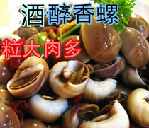 2 bottles of limited area Zhoushan specialty seafood Fishermans homemade wine fragrant snails wild conch snails large pieces of meat