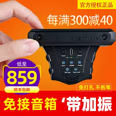 DOUBLE guitar plus vibration pickup Acoustic guitar free drilling guitar Elf G0 Folk guitar plus vibration pickup