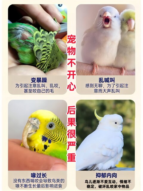 Parrot Swing Toy with Cuttlefish Bone for Chewing, Suitable for Cockatiels, Budgerigars, Lovebirds, and Parrots; Teeth Grinding and Calcium Supplementing Toy; Bird Cage Rattan Ball Made of Apple Wood