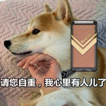 This girl smashed with two brushes bonded LA girl Los Angeles Big Sister blush 489491492 Daily