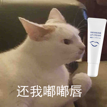 Lip Gloss ~ Japan 100 Naira MKMAKANE lip moisturizing nourishing gel lip Lip Film to the bottom 7g