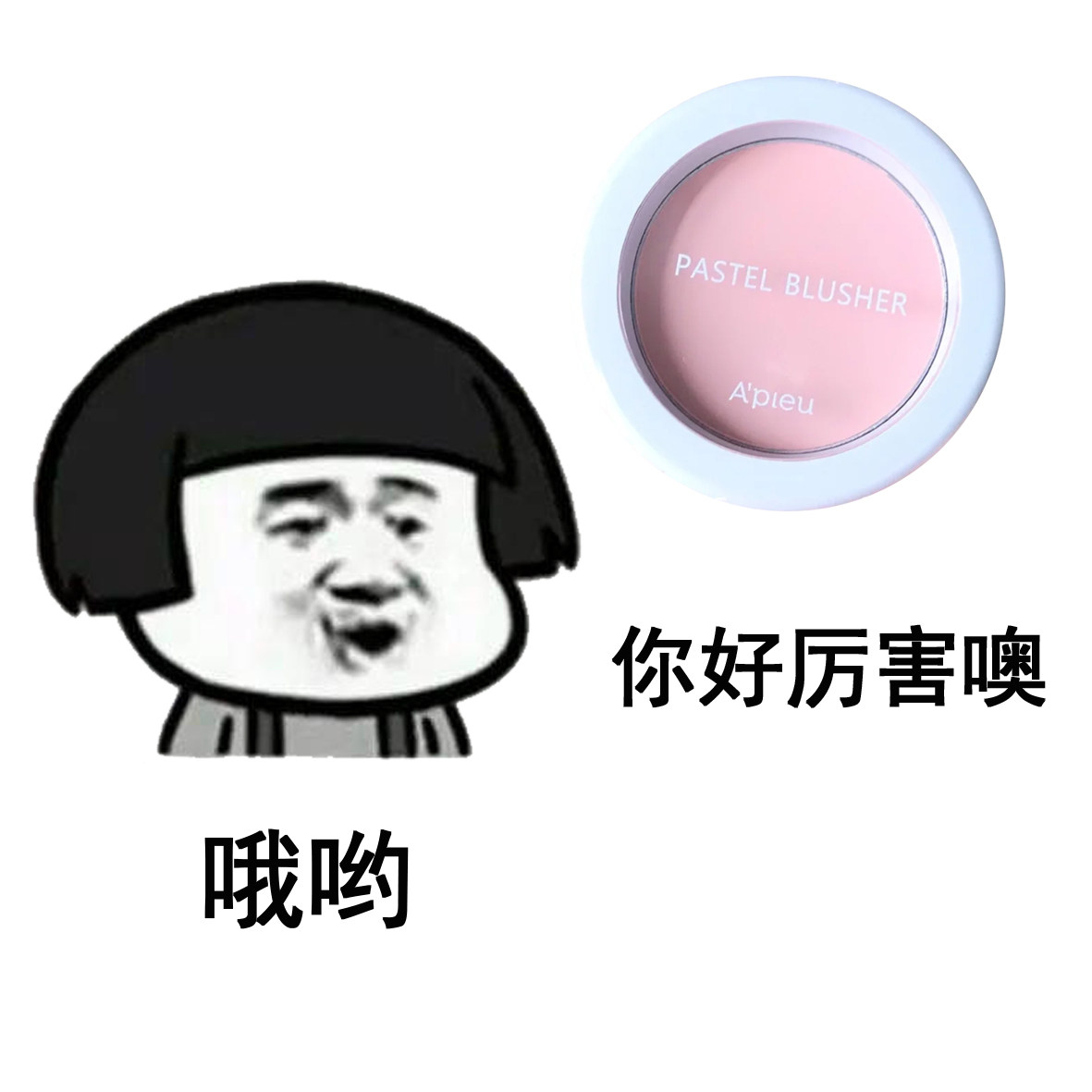 Fluffy blush contestant ~ Xu jade teacher tin recommended apieu Opto blush 100 hitch PK07 CR02