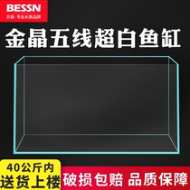 Super white fish tank aquarium home landscaping gold crystal glass living room desktop size rectangular water grass turtle tank