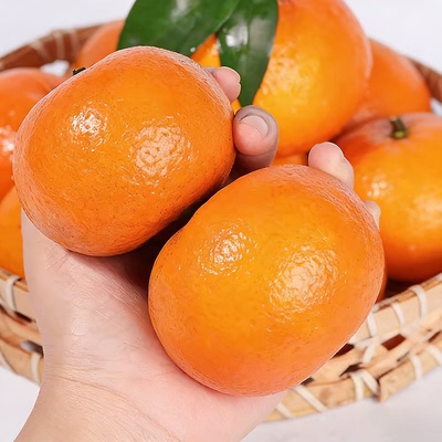 广西武鸣沃柑当季现摘橘子原产地