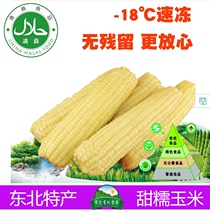 Heilongjiang specialty northeast sticky corn 7 ears sticky corn frozen sweet glutinous corn cob rice non-transgenic coarse grain
