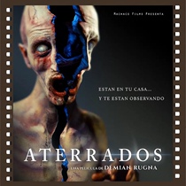 Weird suspicious and shocking 2017 Argentinian movie super non-promotional poster with Chinese subtitles