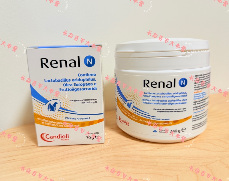 Candioli Renal N Kidney Auxiliary Candioli Renal N Kidney Auxiliary