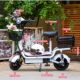 Portable foldable Internet celebrity high-end ladies' electric bike ສອງບ່ອນນັ່ງ 2ຄົນ compact bike lithium battery