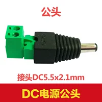 Зеленый терминал DC5521 Мужская голова