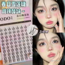 Spring Sun Snow Lotus Ciliary Mascara BIG CAPACITY FAKE EYELASH ten ROW SECTIONAL SELF-ADHESIVE NATURAL ROLL-UP SIMULATION