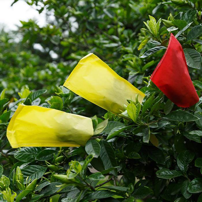 Aquatic parchment paper pollen bag pollen bag pollen bag pollination bag corn breeding hybrid 98 345 sets