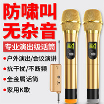 Video Conference shop one drag two bar audio amplifier ktv microphone equipment wireless microphone wedding ksong