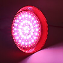 12V battery with deli lamp fruit lamp braised meat stewed vegetable lamp 48v60V72 volt electric tricycle low voltage led