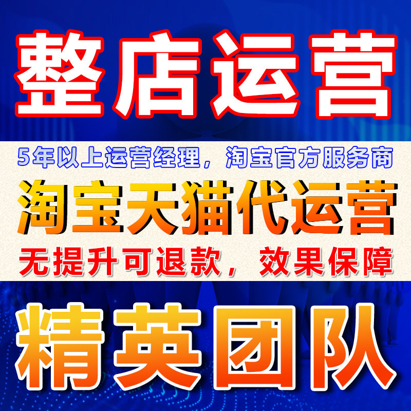 蓝辉电商
