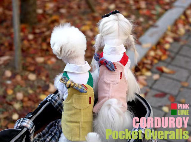 Korean goodup specifically for the competing design Puppy clothes Cat Fleece Dress White Shirt Dress White Lining Long Sleeve Hemisphere 