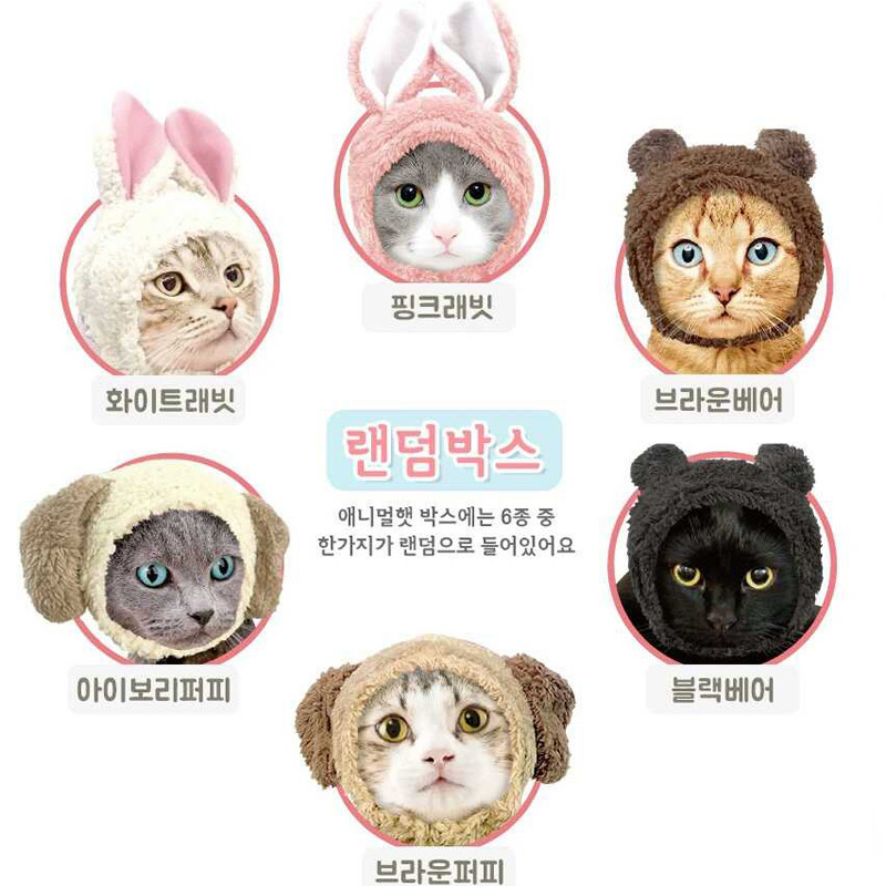 Korea imports MAGIC pet dog cat meow Martian Wang Martian small animal head Accessories Hat Hair card Hairpin Card blind box 