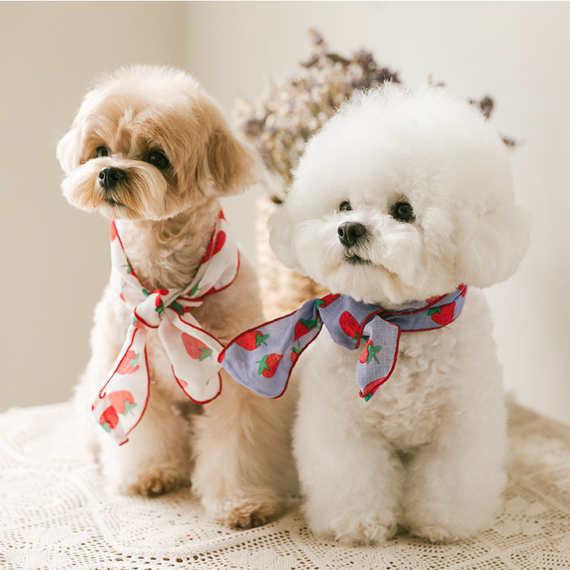 South Korea Rollingbebe Pet Scarf Cat Dog Strawberry Apple Printed Butterfly Knot Silk Scarf with small crumbled 