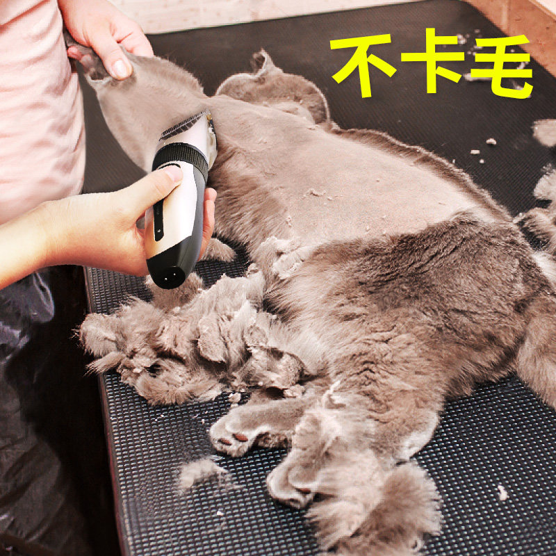 Cat special shaver safety silent charging push scissors for dogs shaving fader Teddy Golden Retriever Satsuma Hair